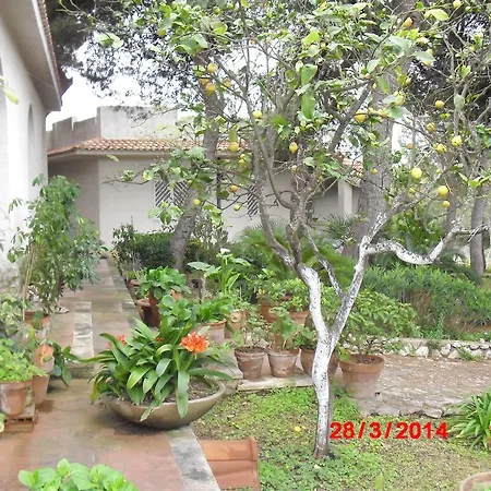 Salento Пульсано