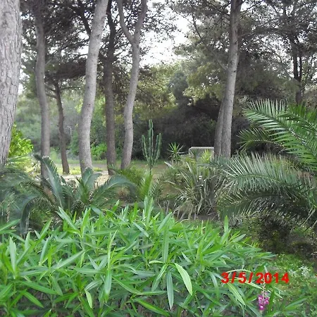 לינה וארוחת בוקר Salento *