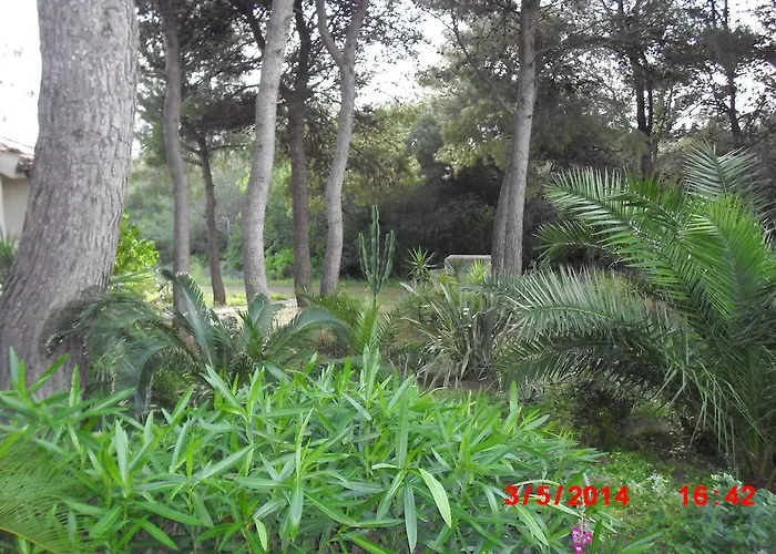 Bed & Breakfast Salento *